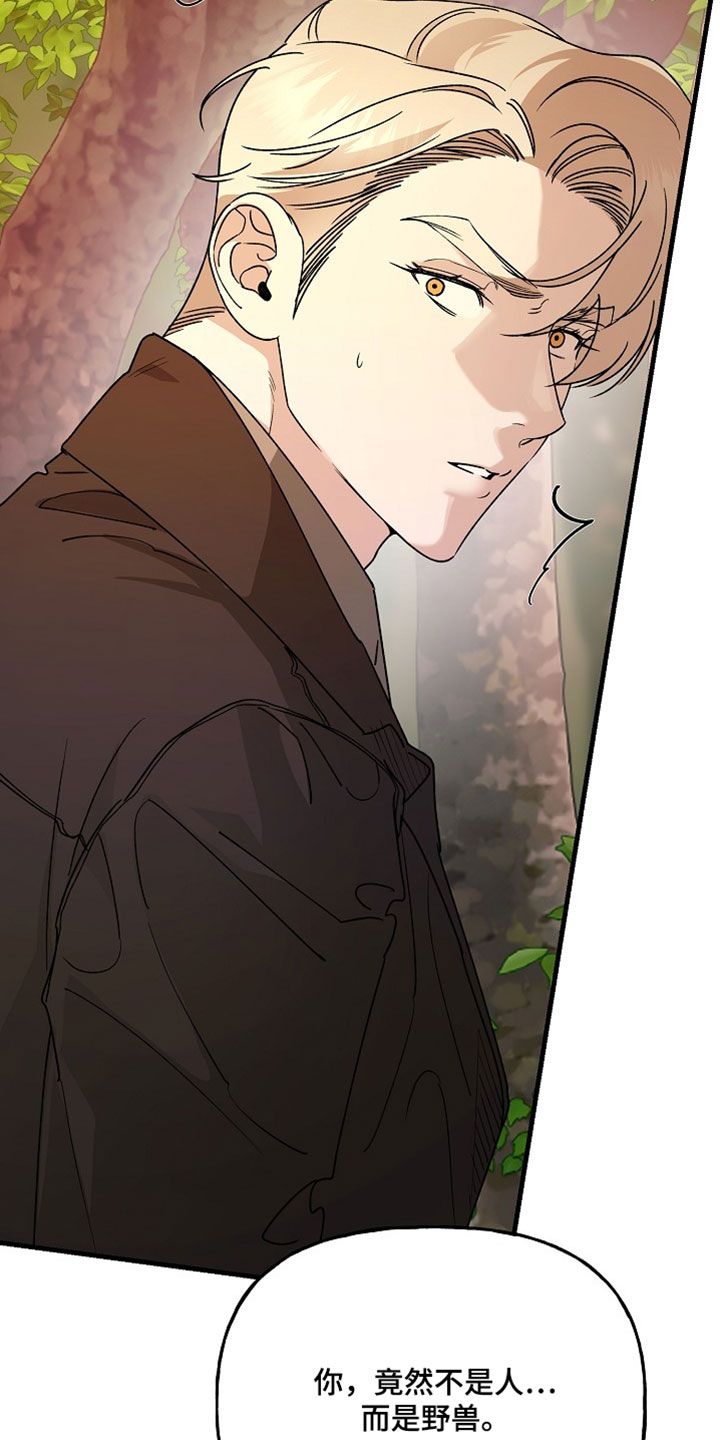 命中犯虎漫画,第53章：为什么不告诉我4图