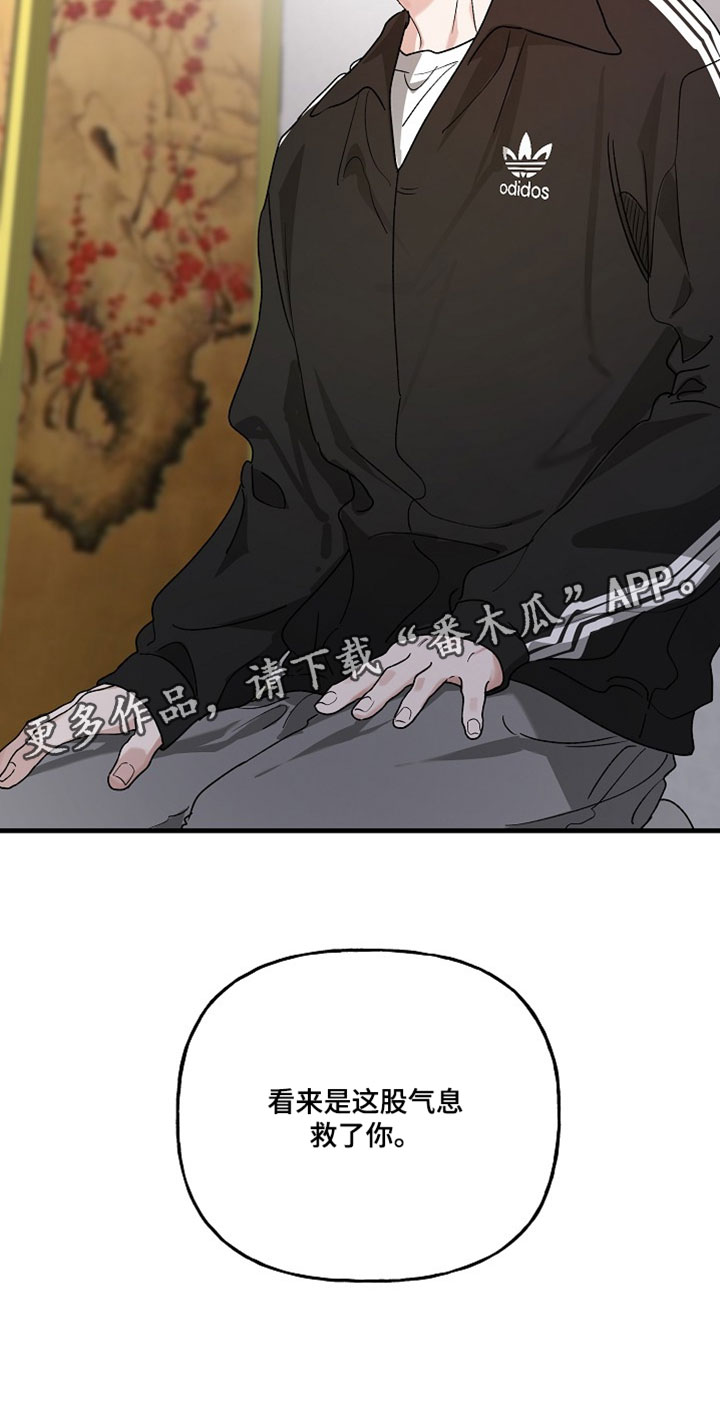 命中犯虎漫画,第52章：你本来已经死了3图