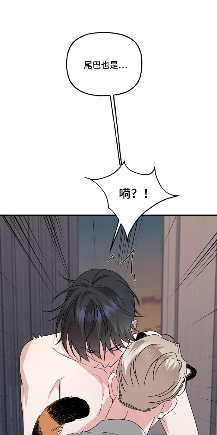 命中犯虎漫画,第55章：是你先开始5图