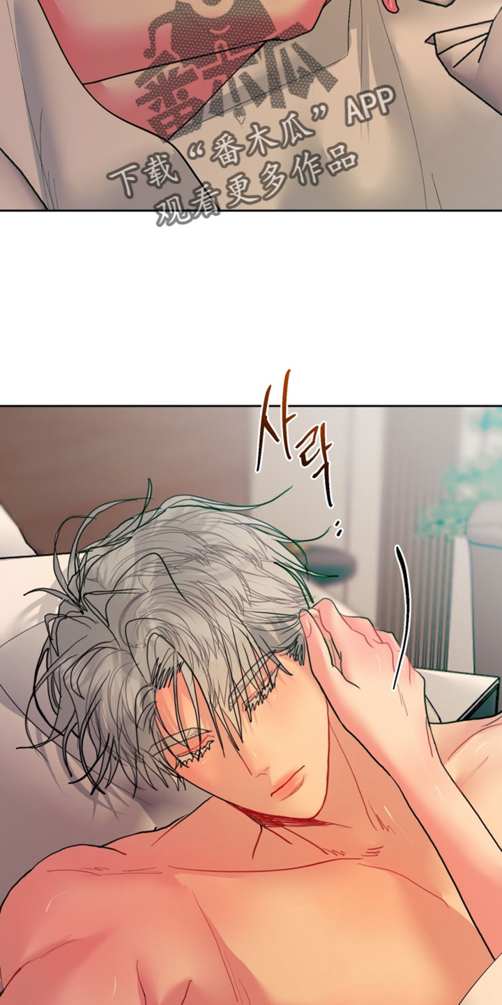 陌生挚爱漫画,第39章：辞职信5图