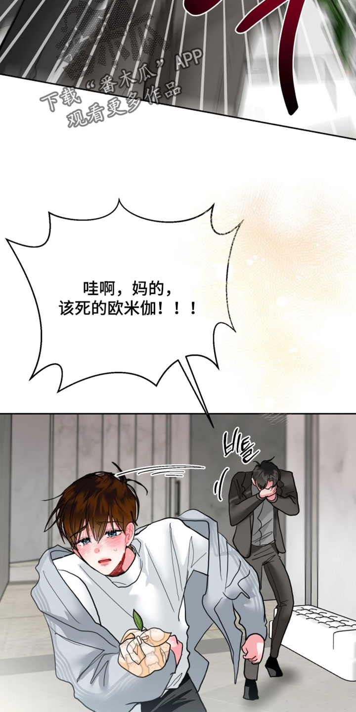 陌生挚爱漫画,第37章：我不是故意打扰你3图