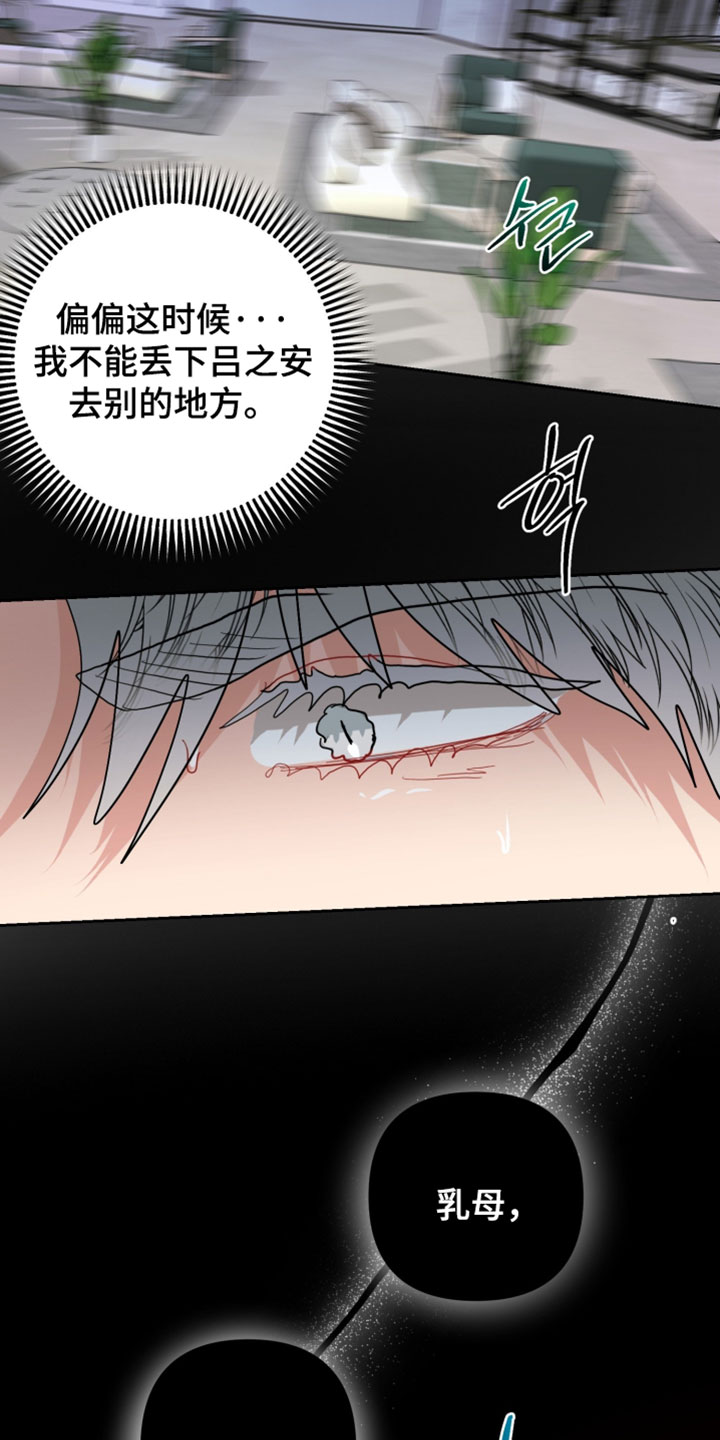 陌生挚爱漫画,第39章：辞职信1图