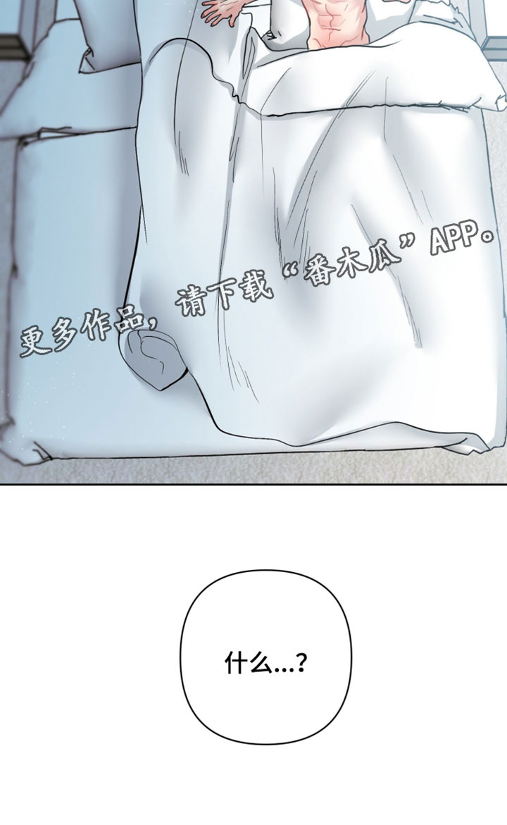 陌生挚爱漫画,第39章：辞职信4图