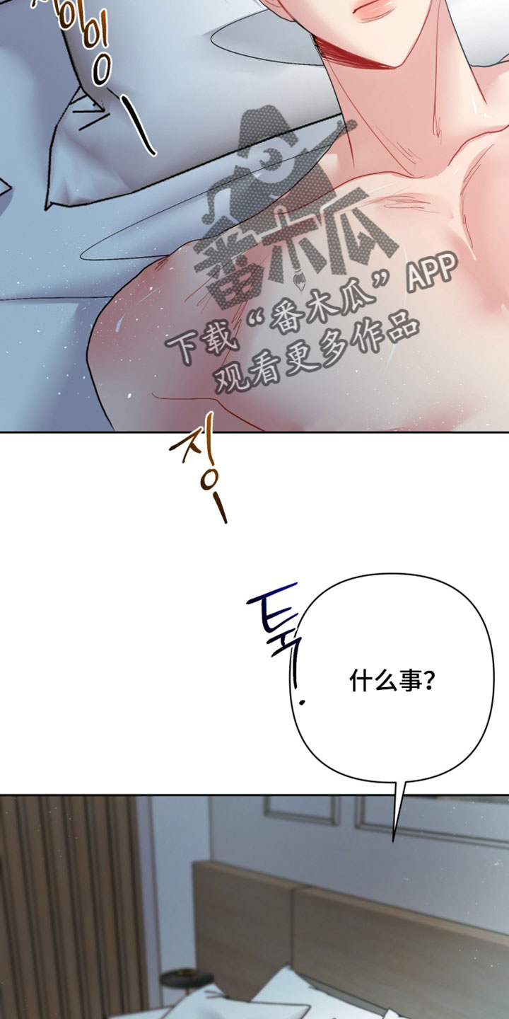 陌生挚爱漫画,第39章：辞职信5图