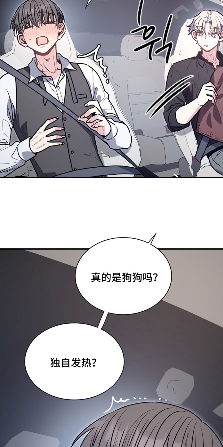 星光与谎言漫画,第48章：奇怪的发烧1图