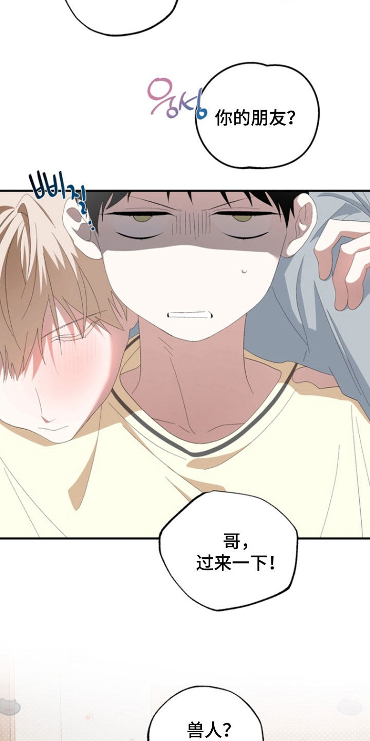 我的老鼠学长漫画,第33章：带回家3图