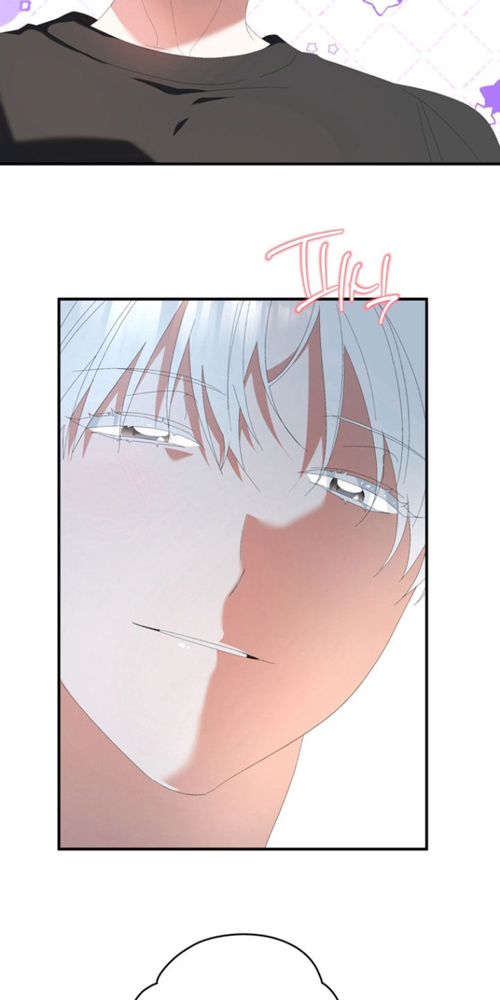 我的老鼠学长漫画,第33章：带回家1图