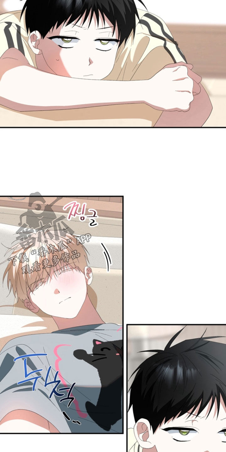 我的老鼠学长漫画,第33章：带回家1图