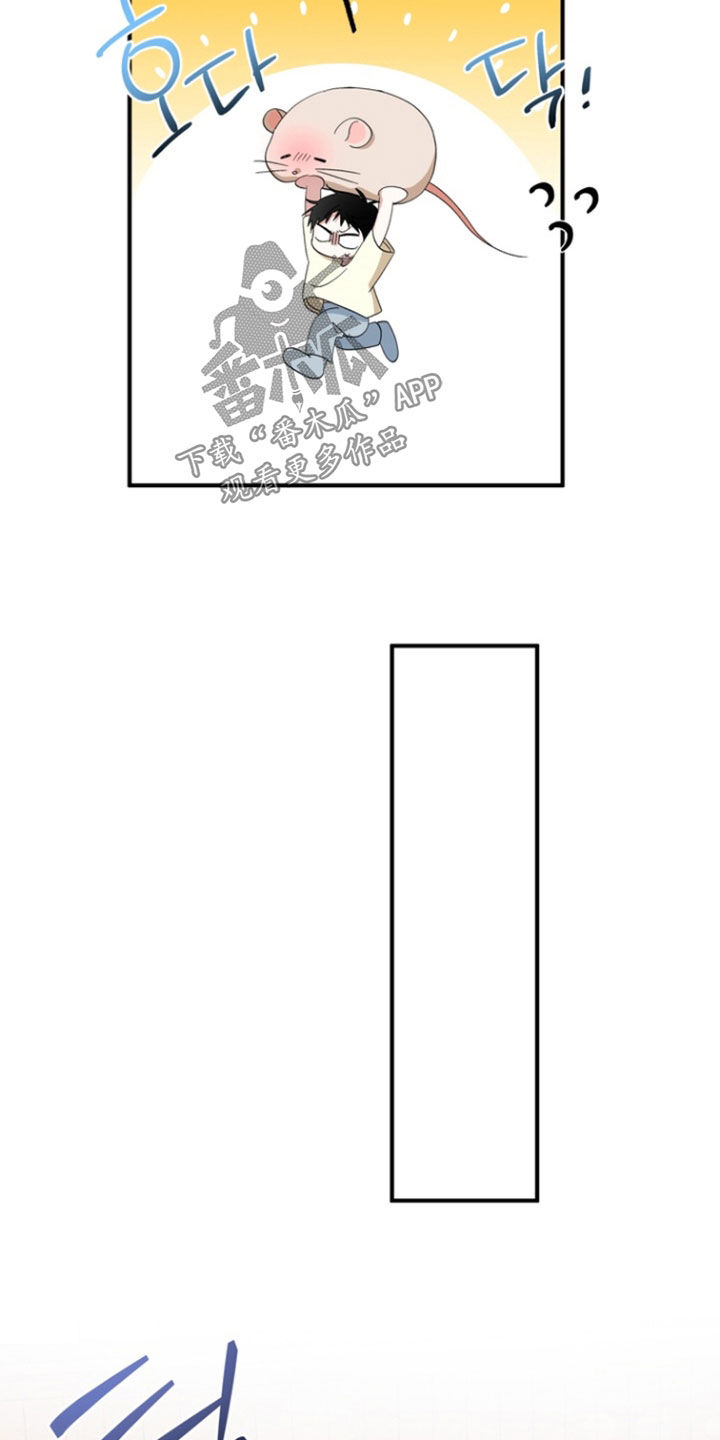 我的老鼠学长漫画,第33章：带回家2图