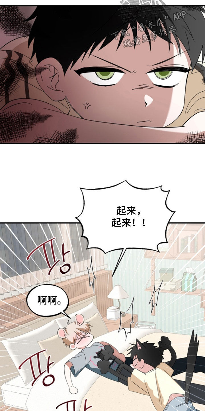 我的老鼠学长漫画,第33章：带回家3图