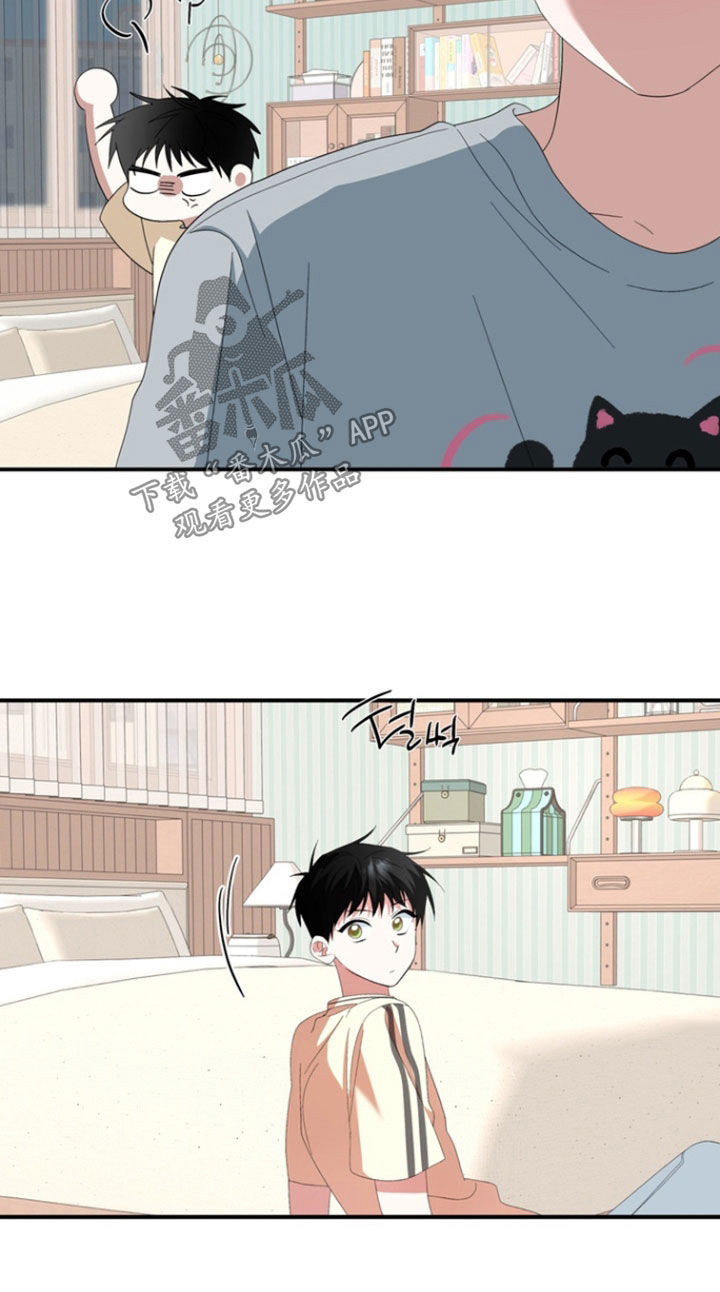 我的老鼠学长漫画,第33章：带回家5图