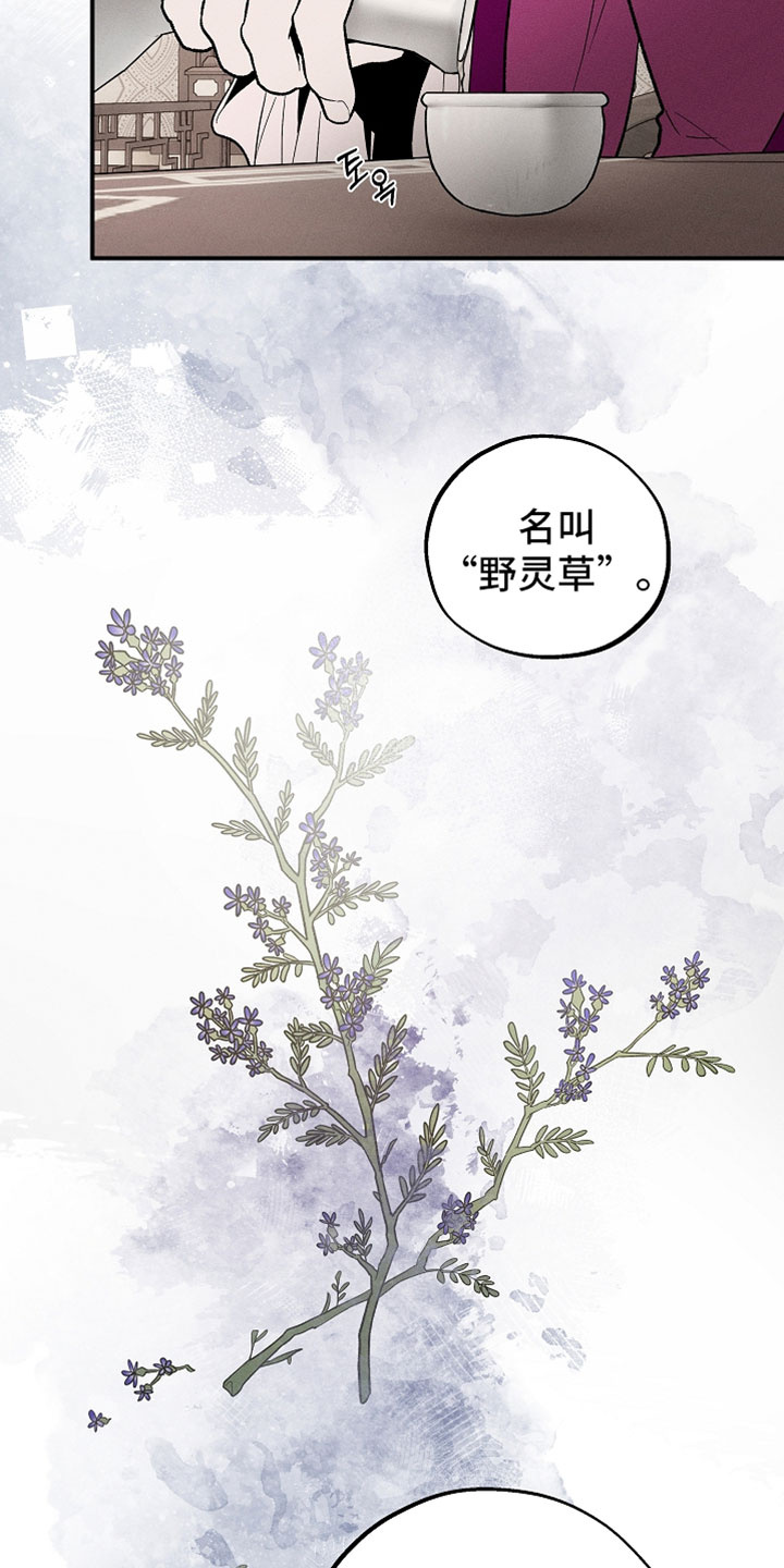 异世界奴隶漫画,第45章：情况不妙就不找了4图