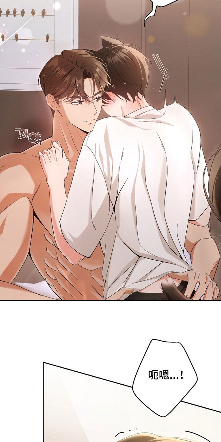 《我的黑猫少年》漫画漫画,第40章：没有经验2图