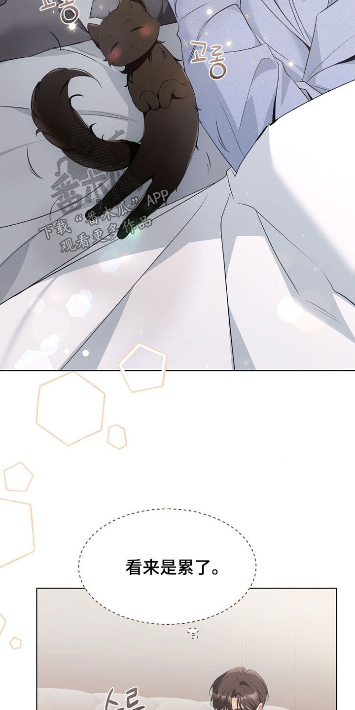 我的黑猫和白猫阅读题答案漫画,第42章：感到为难3图