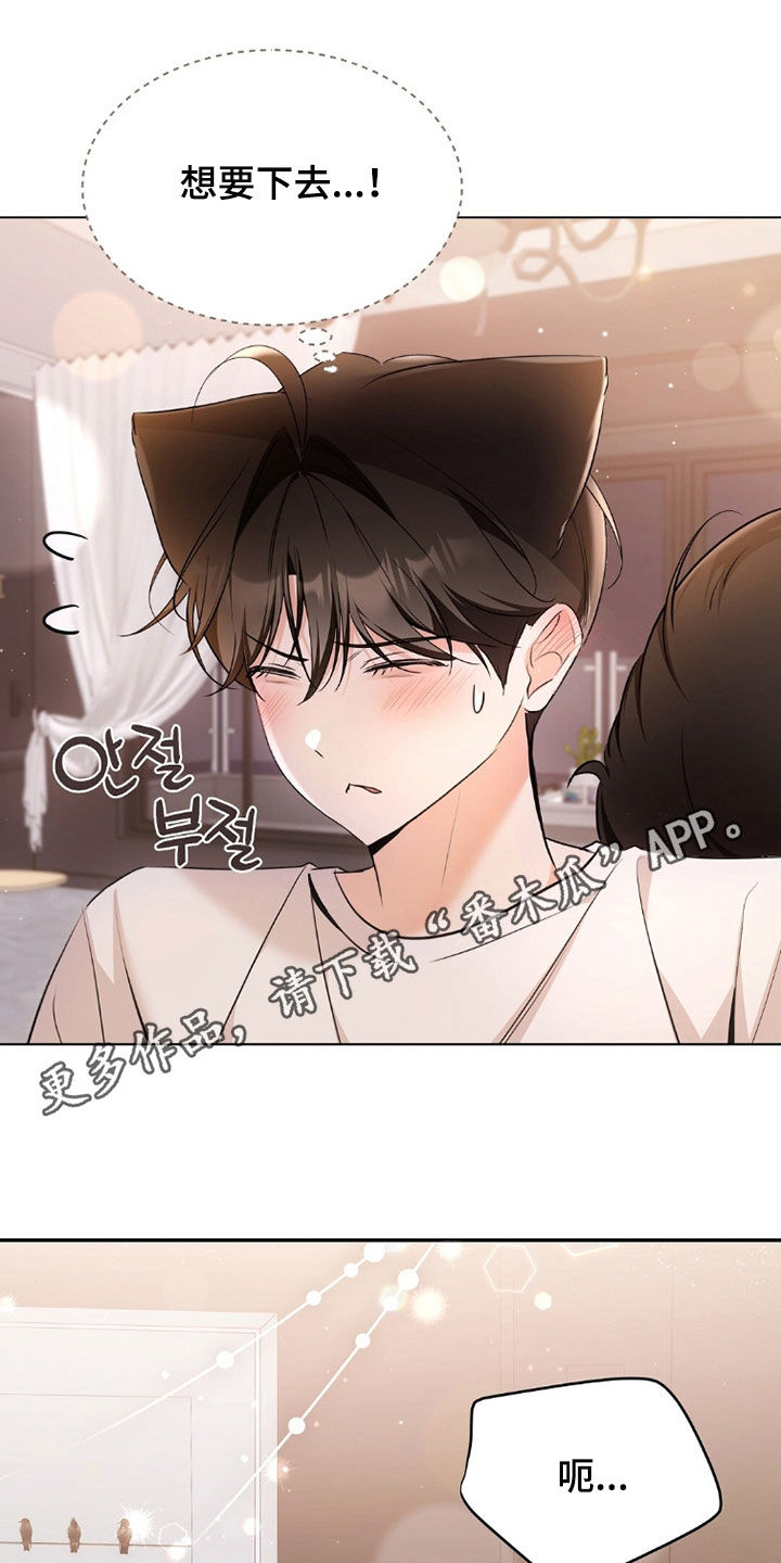 《我的黑猫少年》漫画漫画,第40章：没有经验1图