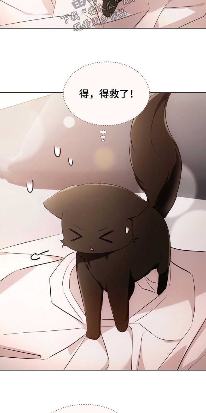《我的黑猫少年》漫画漫画,第41章：你害怕什么2图