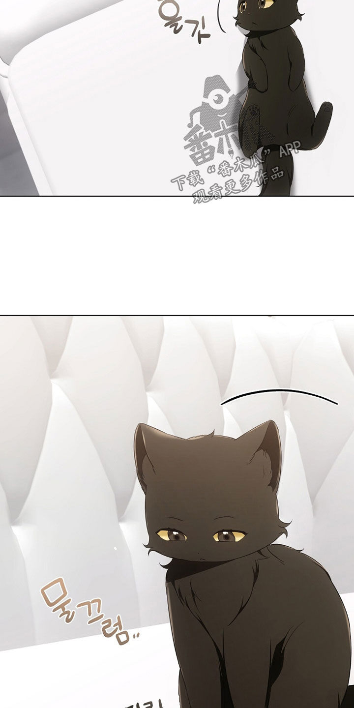 我的黑猫男友小短篇漫画,第42章：感到为难5图