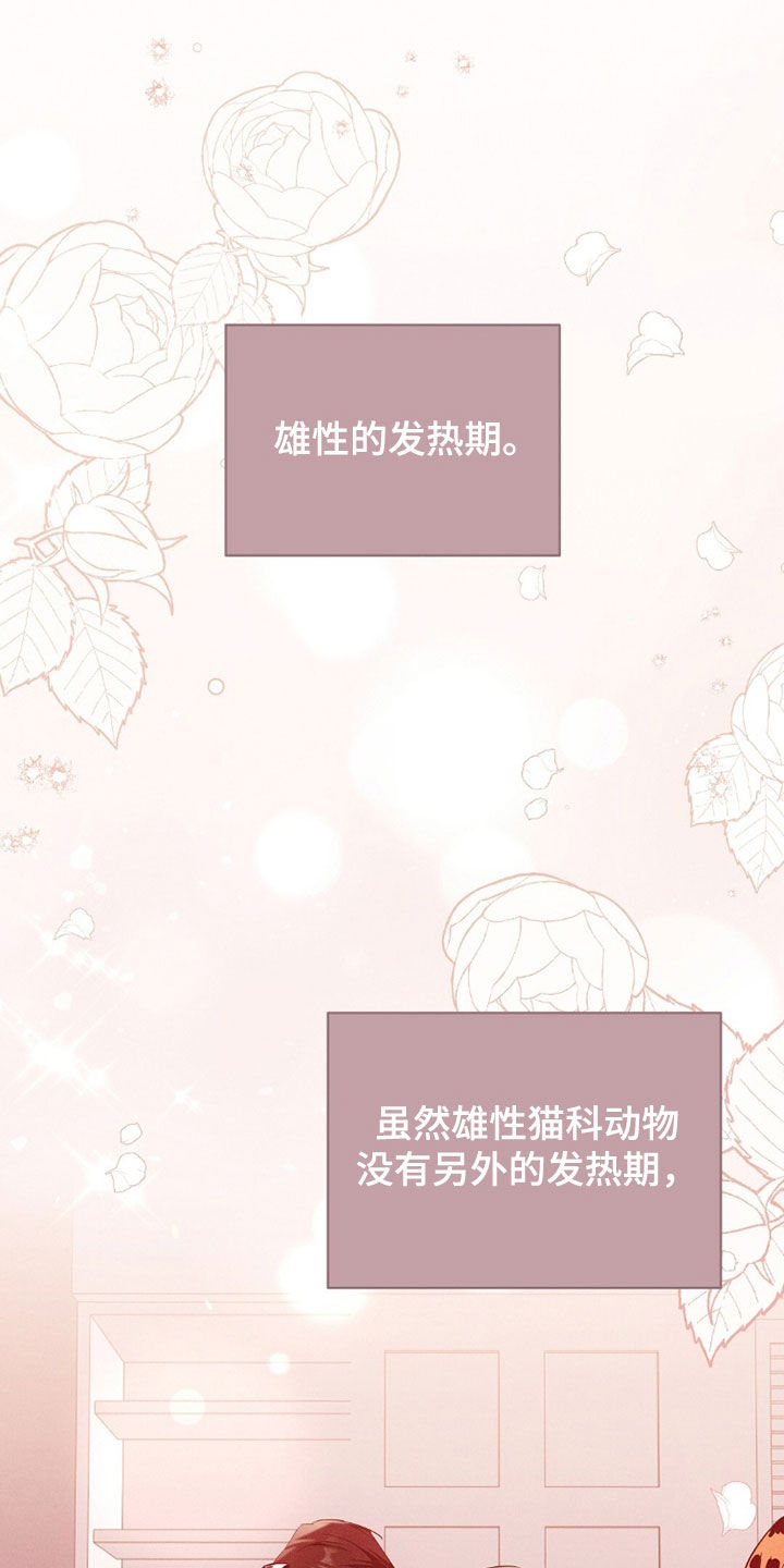 我的黑猫和白猫阅读题答案漫画,第42章：感到为难3图