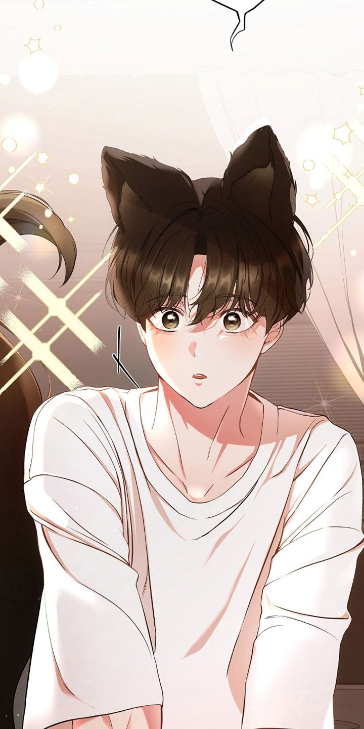 《我的黑猫少年》漫画漫画,第40章：没有经验5图
