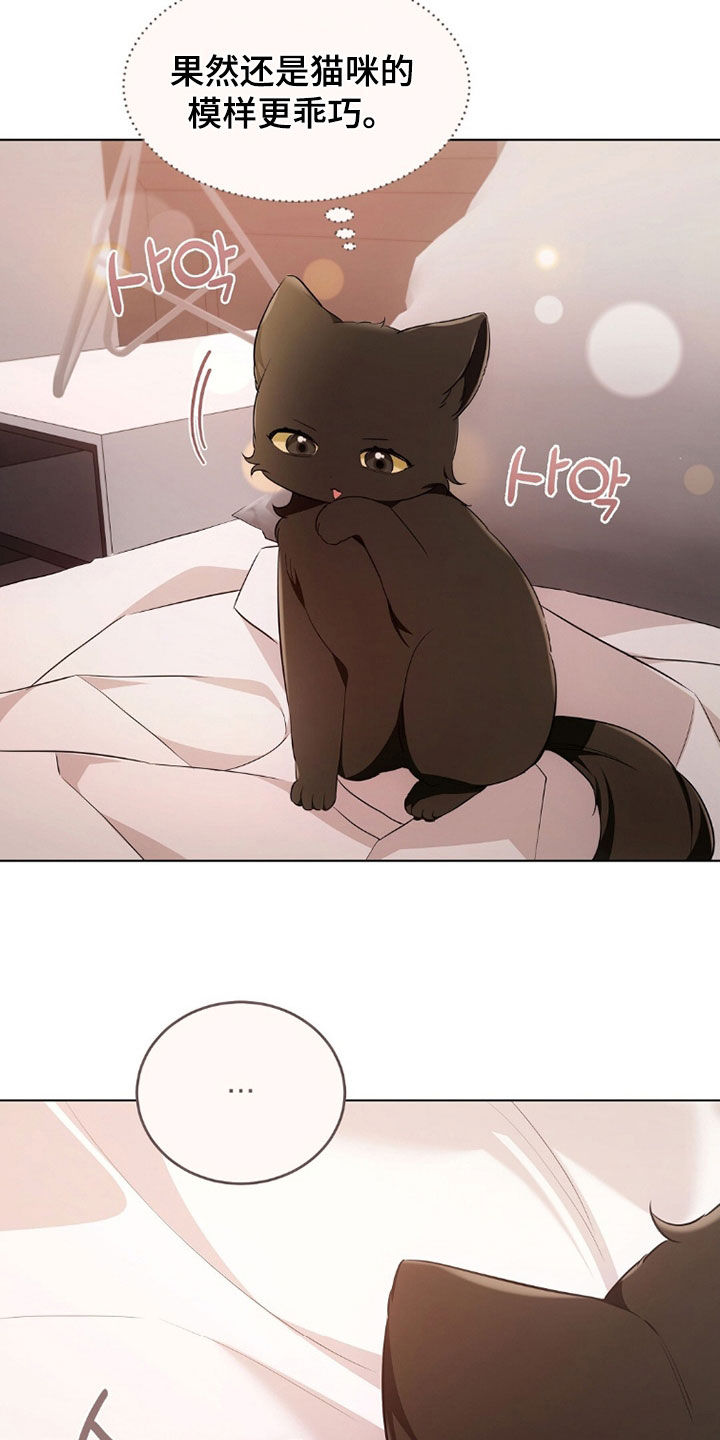 《我的黑猫少年》漫画漫画,第41章：你害怕什么3图