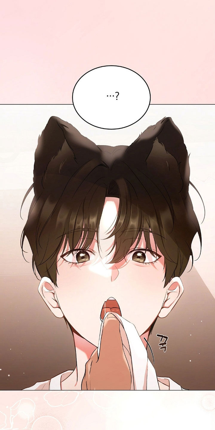 《我的黑猫少年》漫画漫画,第40章：没有经验3图