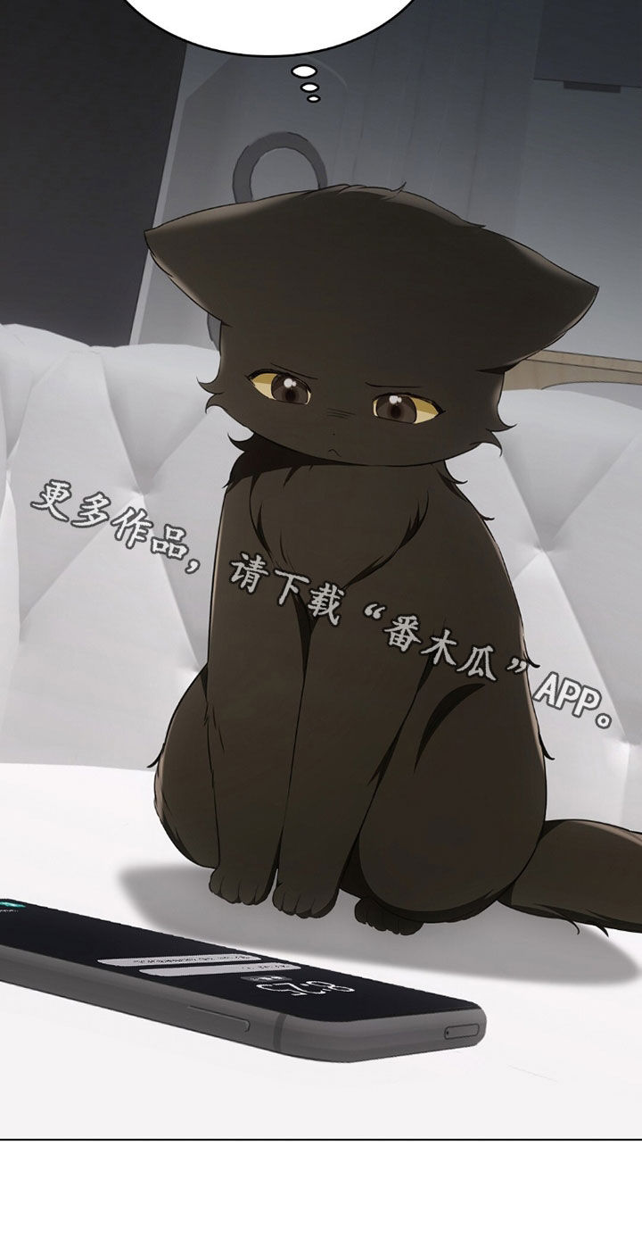 我的黑猫男友小短篇漫画,第42章：感到为难3图