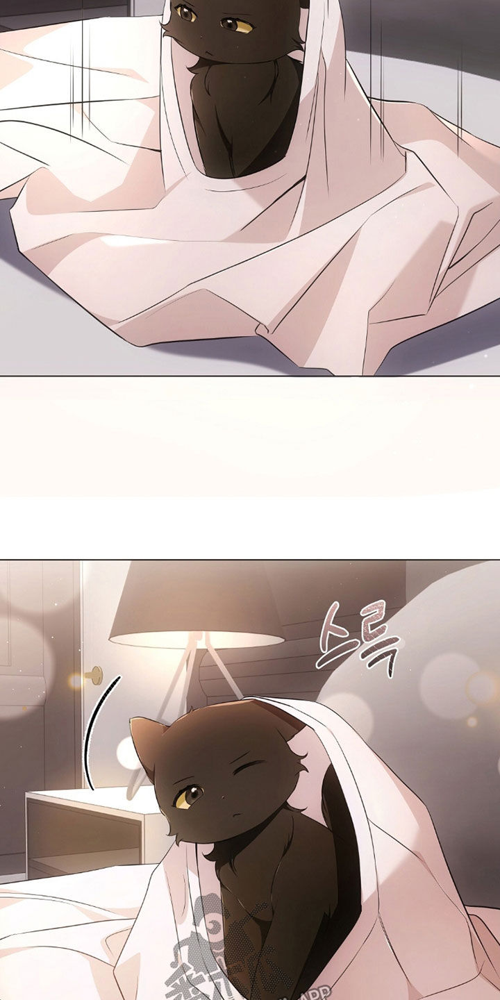 《我的黑猫少年》漫画漫画,第41章：你害怕什么1图