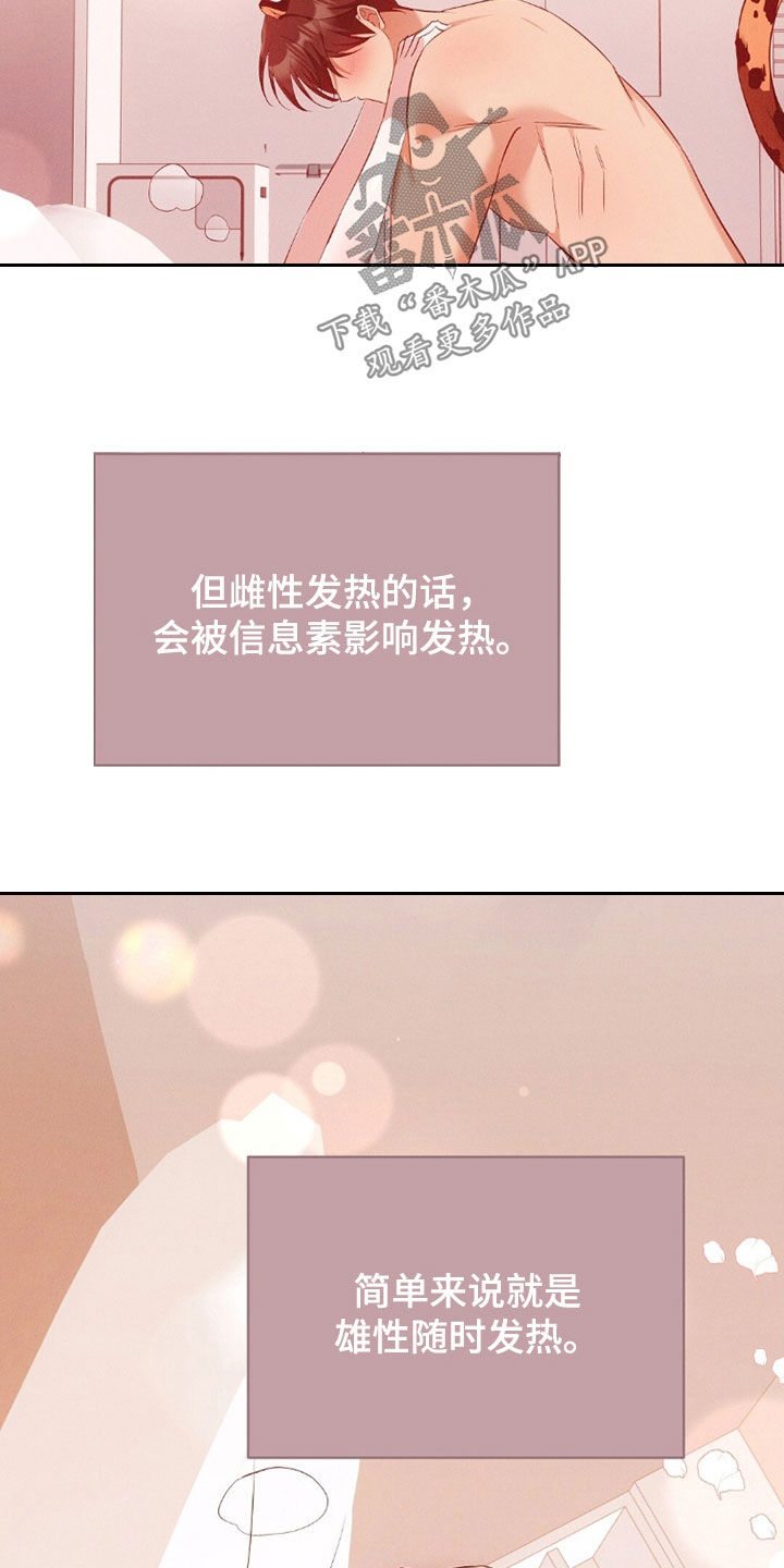 我的黑猫和白猫阅读题答案漫画,第42章：感到为难4图