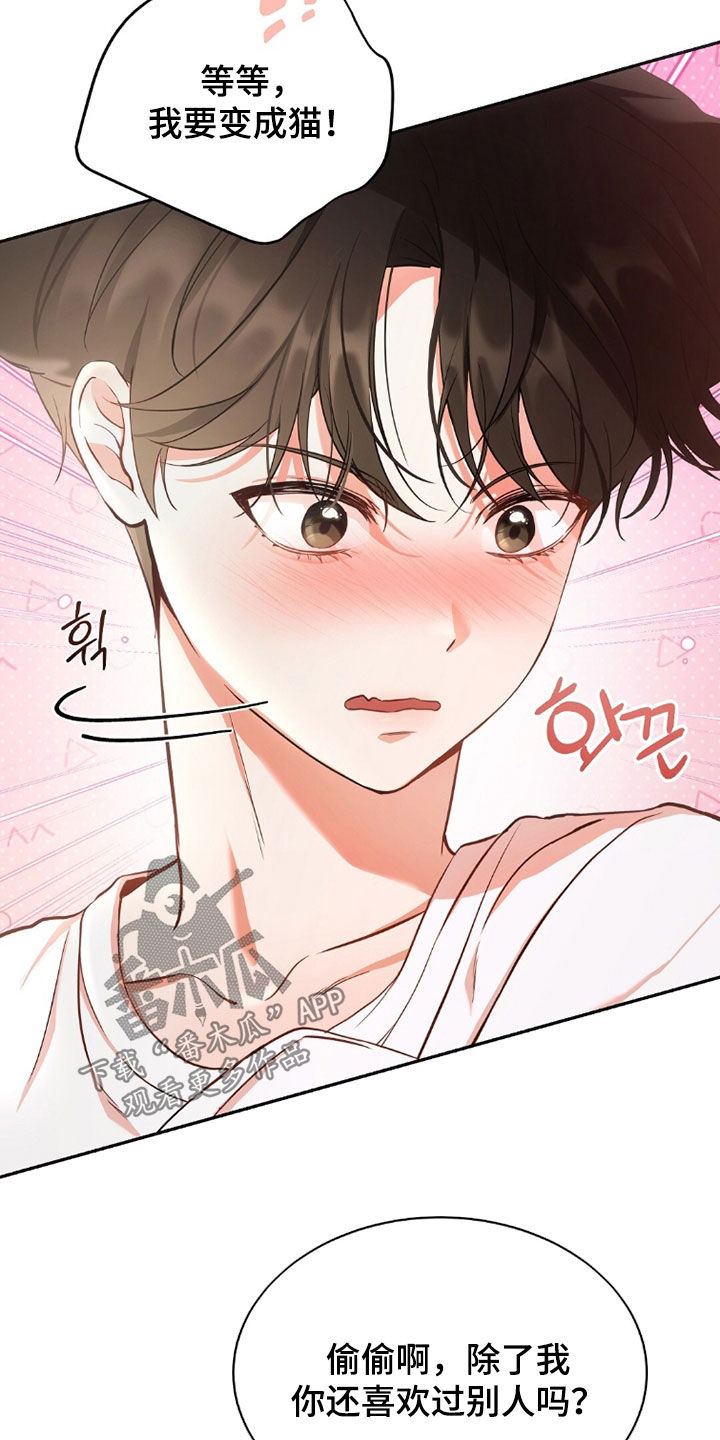 《我的黑猫少年》漫画漫画,第40章：没有经验5图