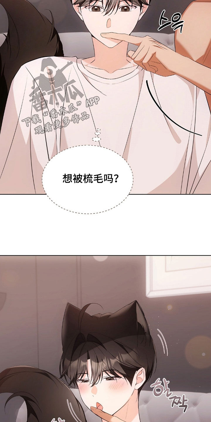 《我的黑猫少年》漫画漫画,第39章：你难道喝醉了3图