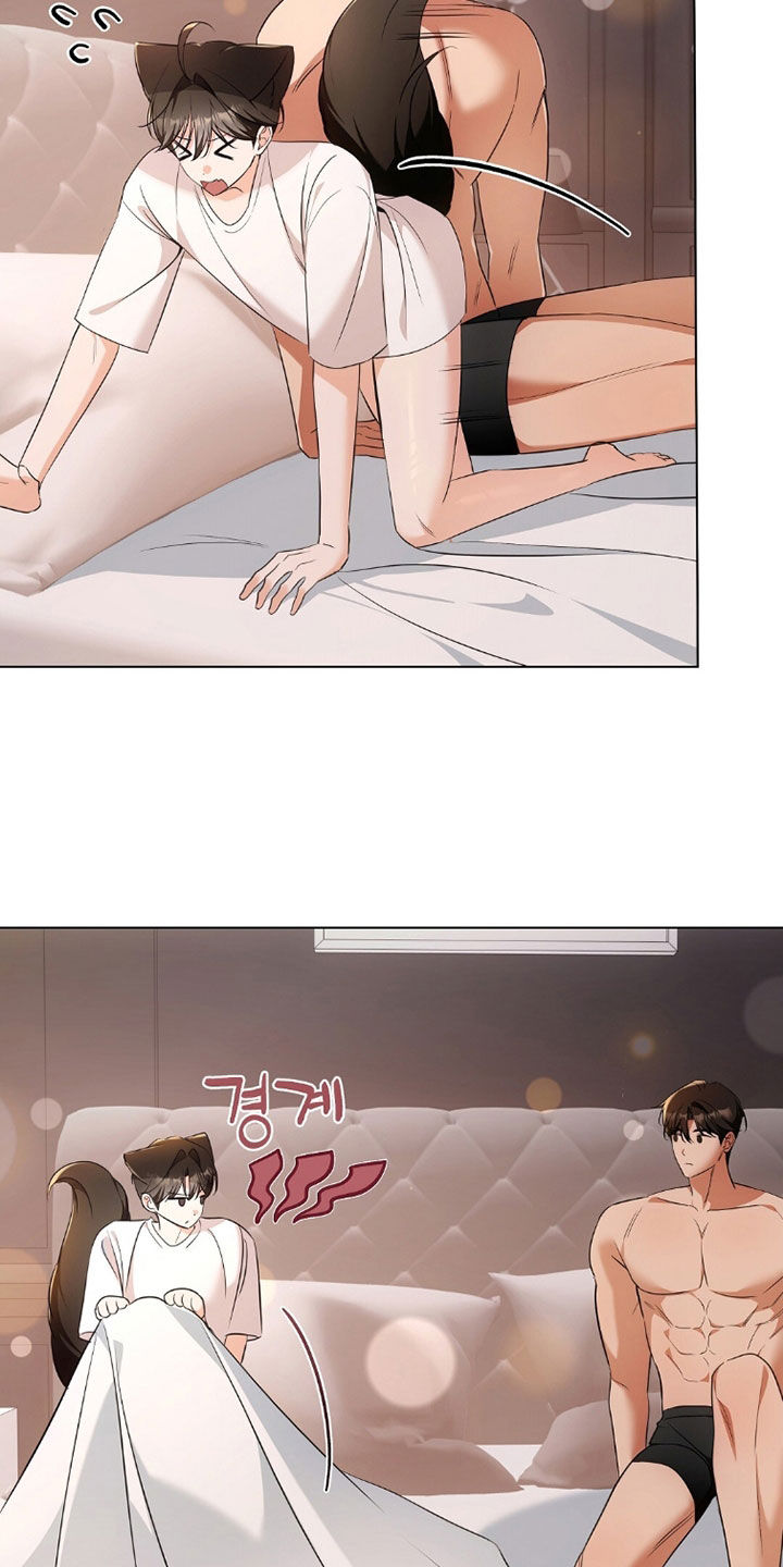 《我的黑猫少年》漫画漫画,第41章：你害怕什么2图
