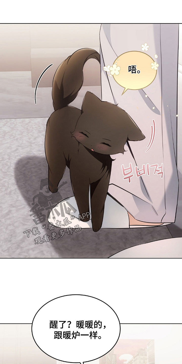 我的黑猫男友小短篇漫画,第42章：感到为难3图