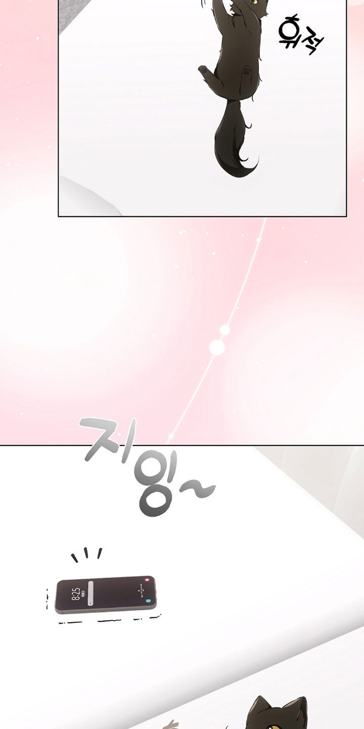我的黑猫男友小短篇漫画,第42章：感到为难4图
