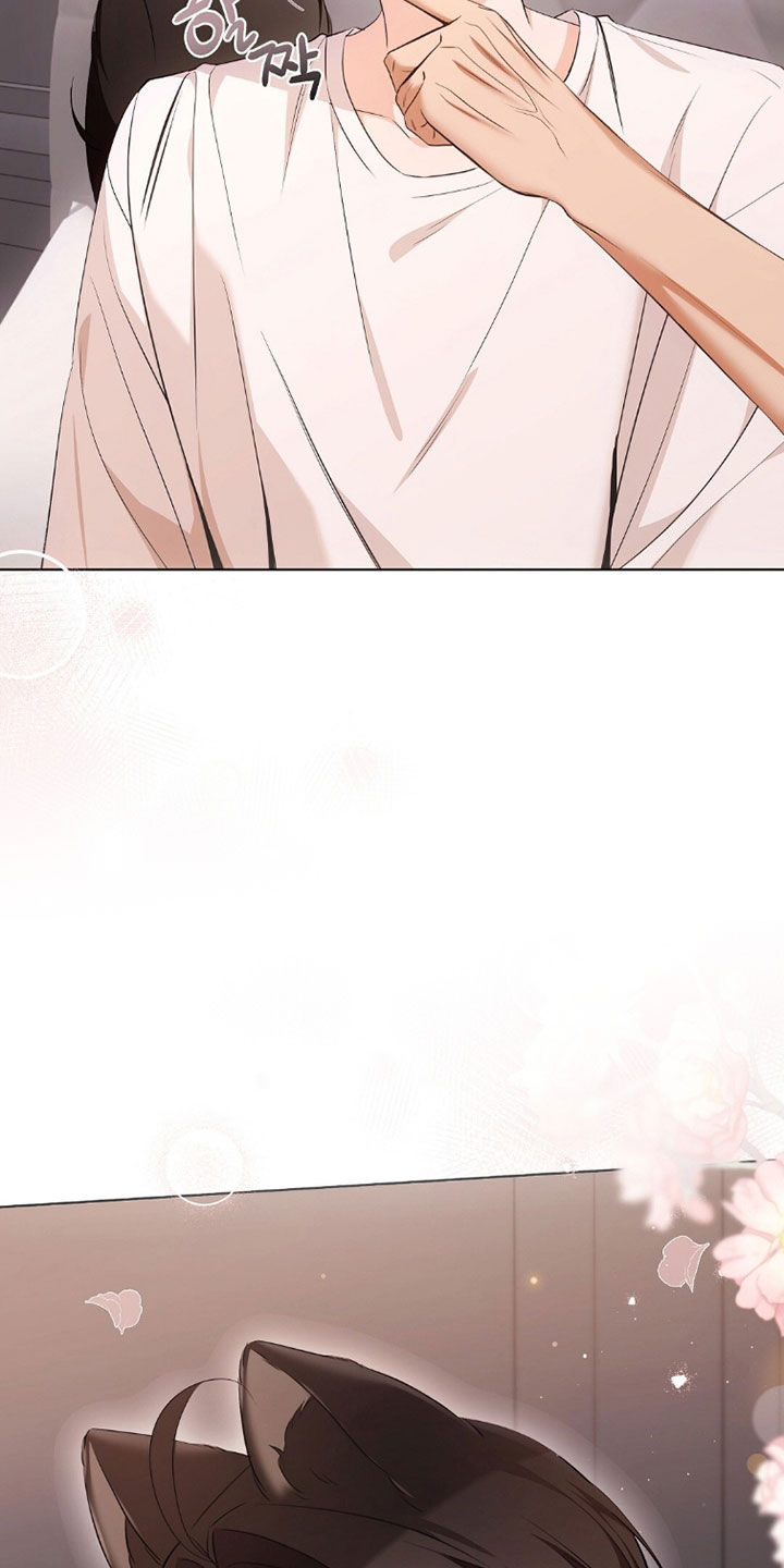 《我的黑猫少年》漫画漫画,第39章：你难道喝醉了4图