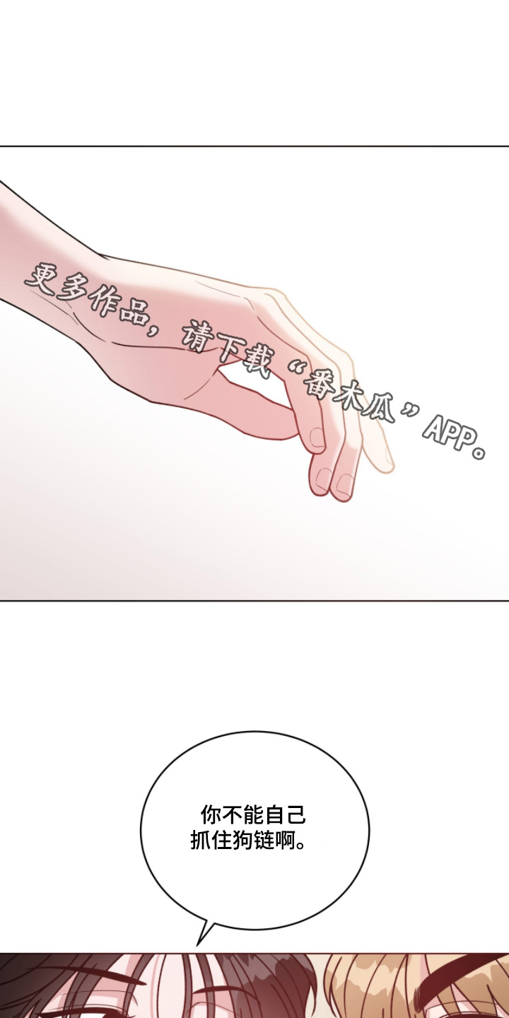 拜金王子漫画,第30章：怎么办1图