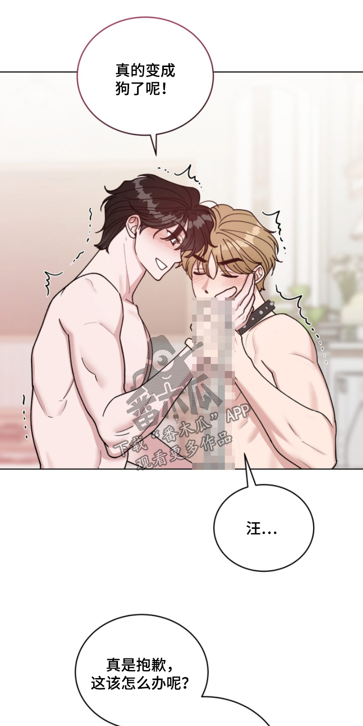 拜金王子漫画,第30章：怎么办3图