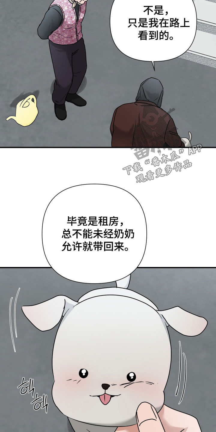 余烬相思烬成霜免费观看漫画,第26章：先盯着吧5图