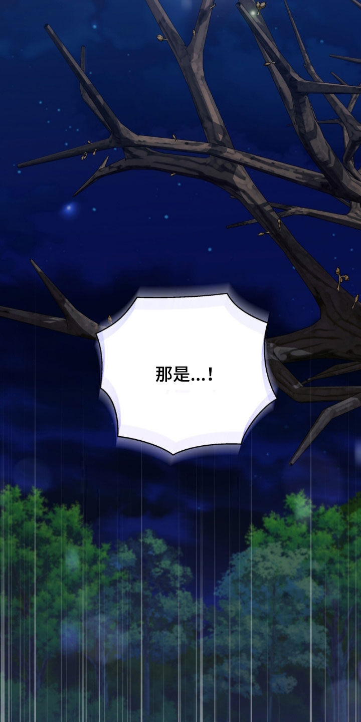金眼黑龙王帝天漫画,第27章：传言4图