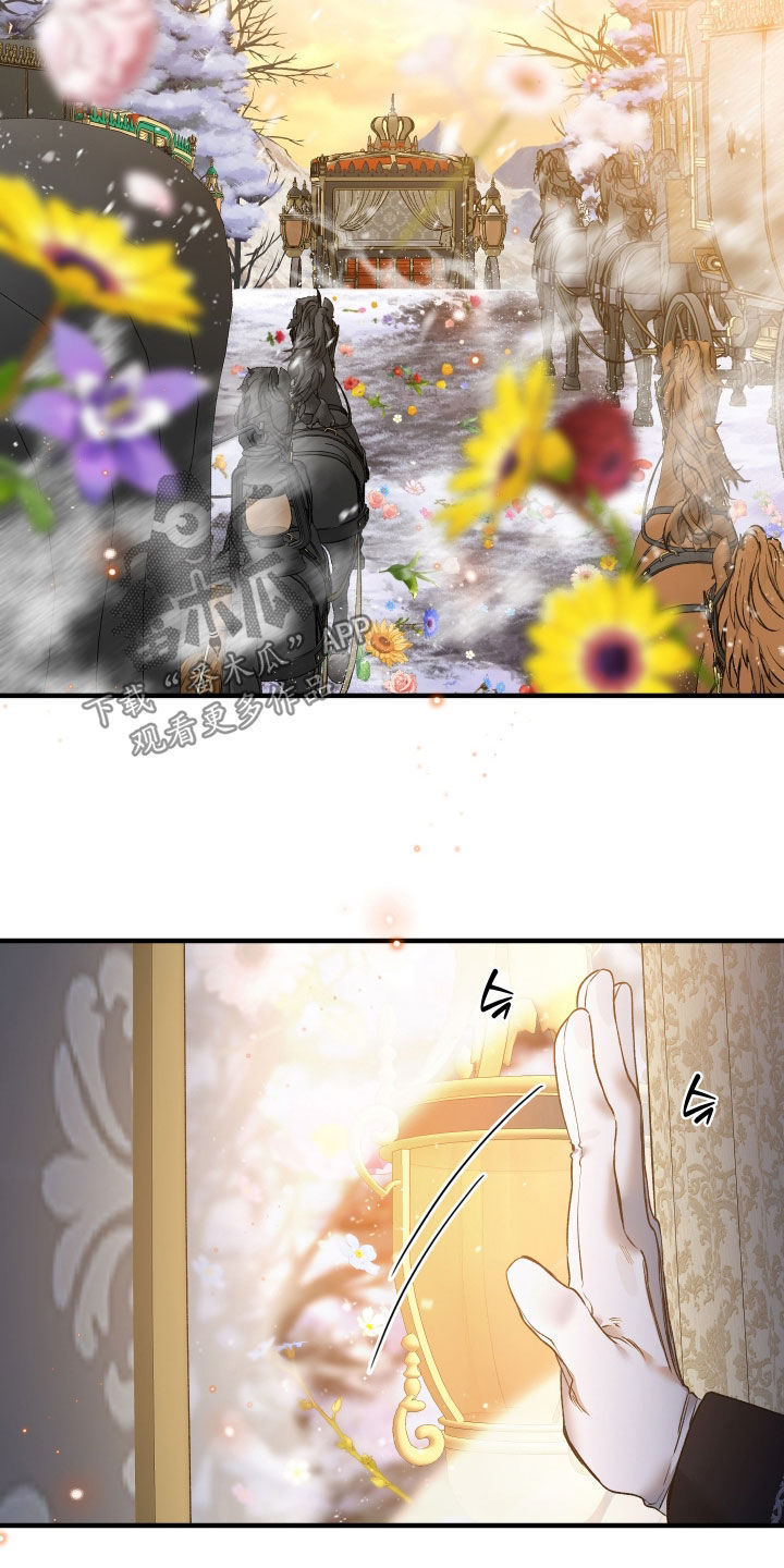 白夜的花路cp漫画,第33章：毒药5图