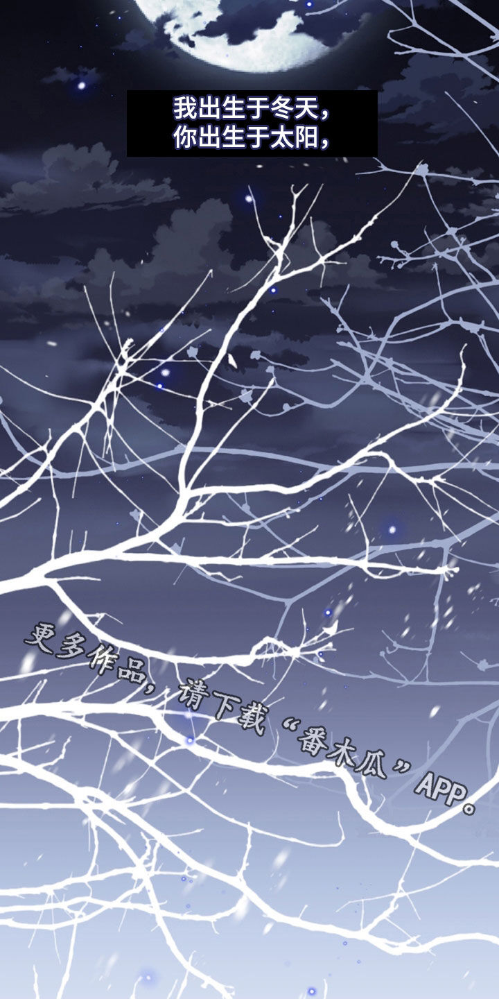 白夜的花路在线看漫画,第29章：不同的温度3图