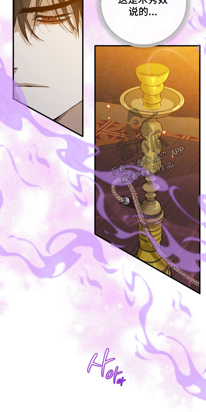 白夜的花路韩漫漫画,第33章：毒药4图