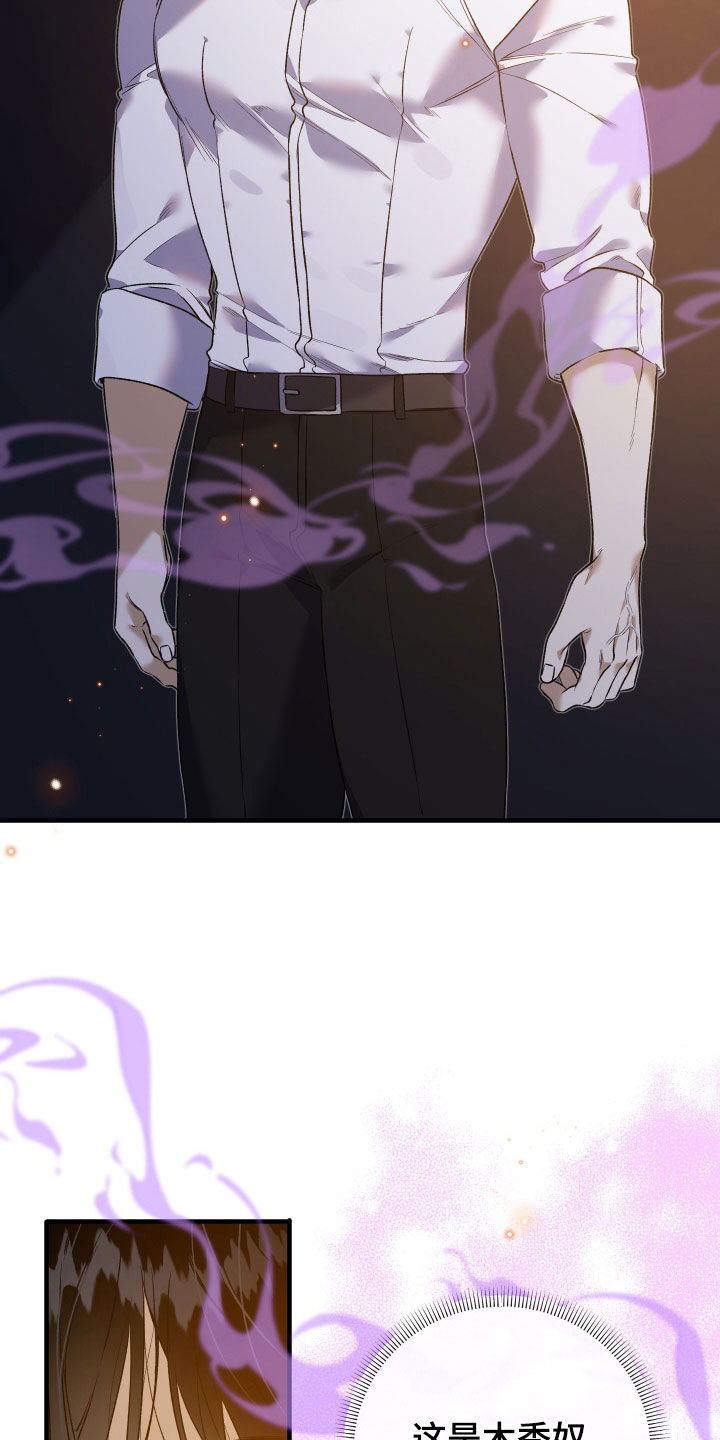 白夜的花路韩漫漫画,第33章：毒药3图