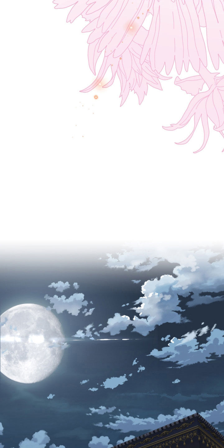 白夜的花路在线看漫画,第34章：利用我1图