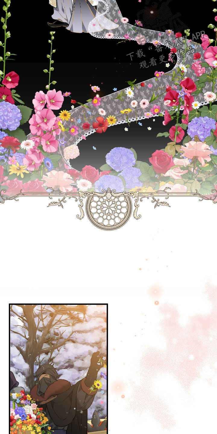 白夜的花路cp漫画,第33章：毒药3图