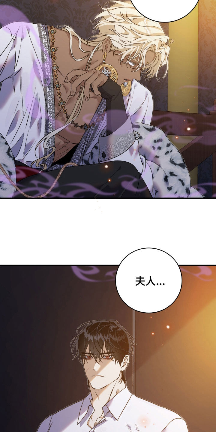 白夜的花路韩漫漫画,第33章：毒药2图