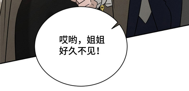 致命伪装通关视频漫画,第29章：家宴3图