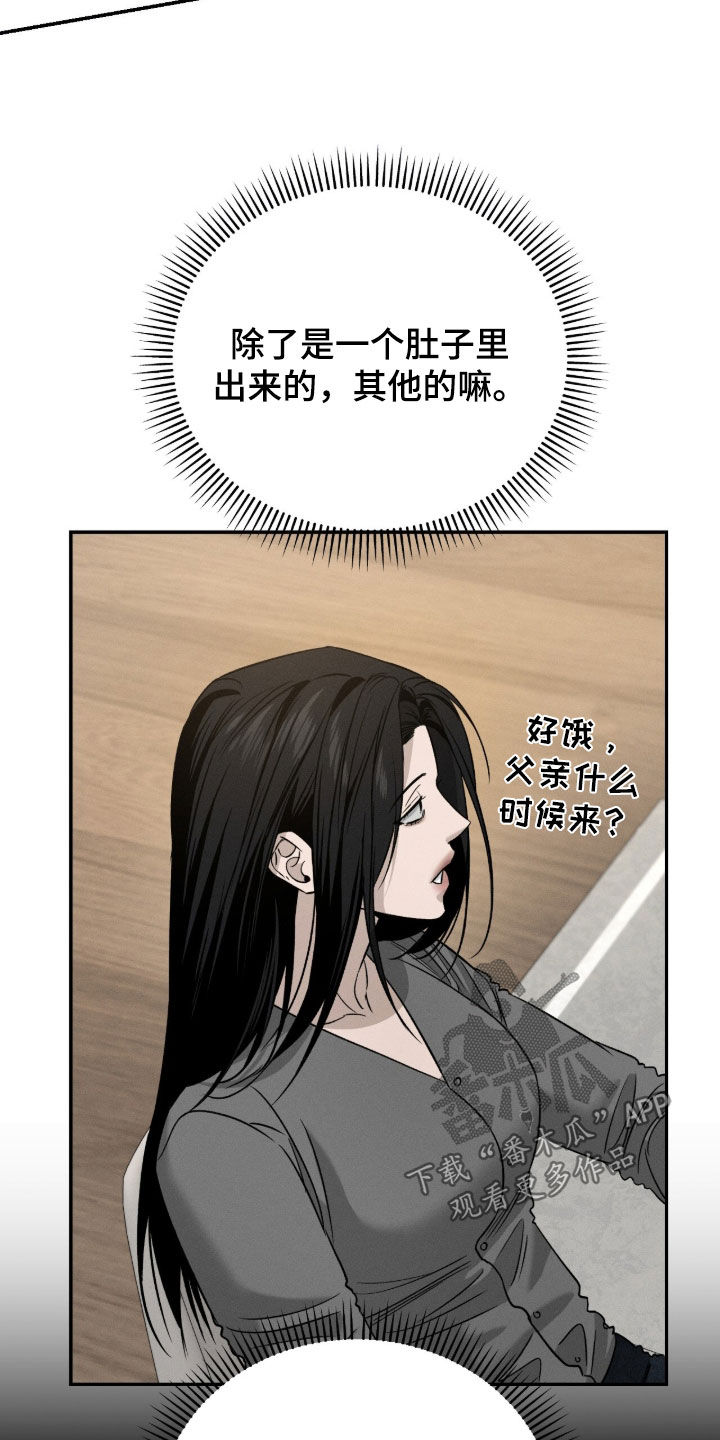 致命伪装通关视频漫画,第29章：家宴3图