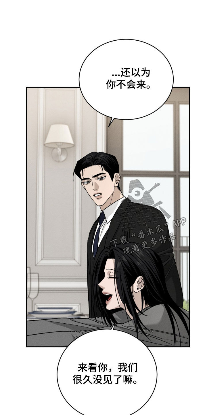 致命伪装通关视频漫画,第29章：家宴3图