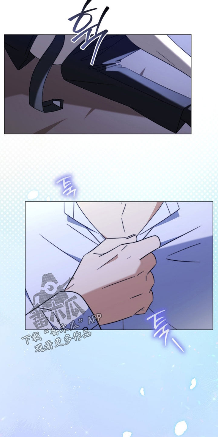 月季英文名称是什么漫画,第27章：准备好了3图