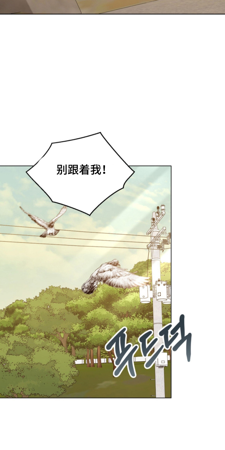 猛兽勿近漫画书正版漫画,第26章：拒绝靠近2图